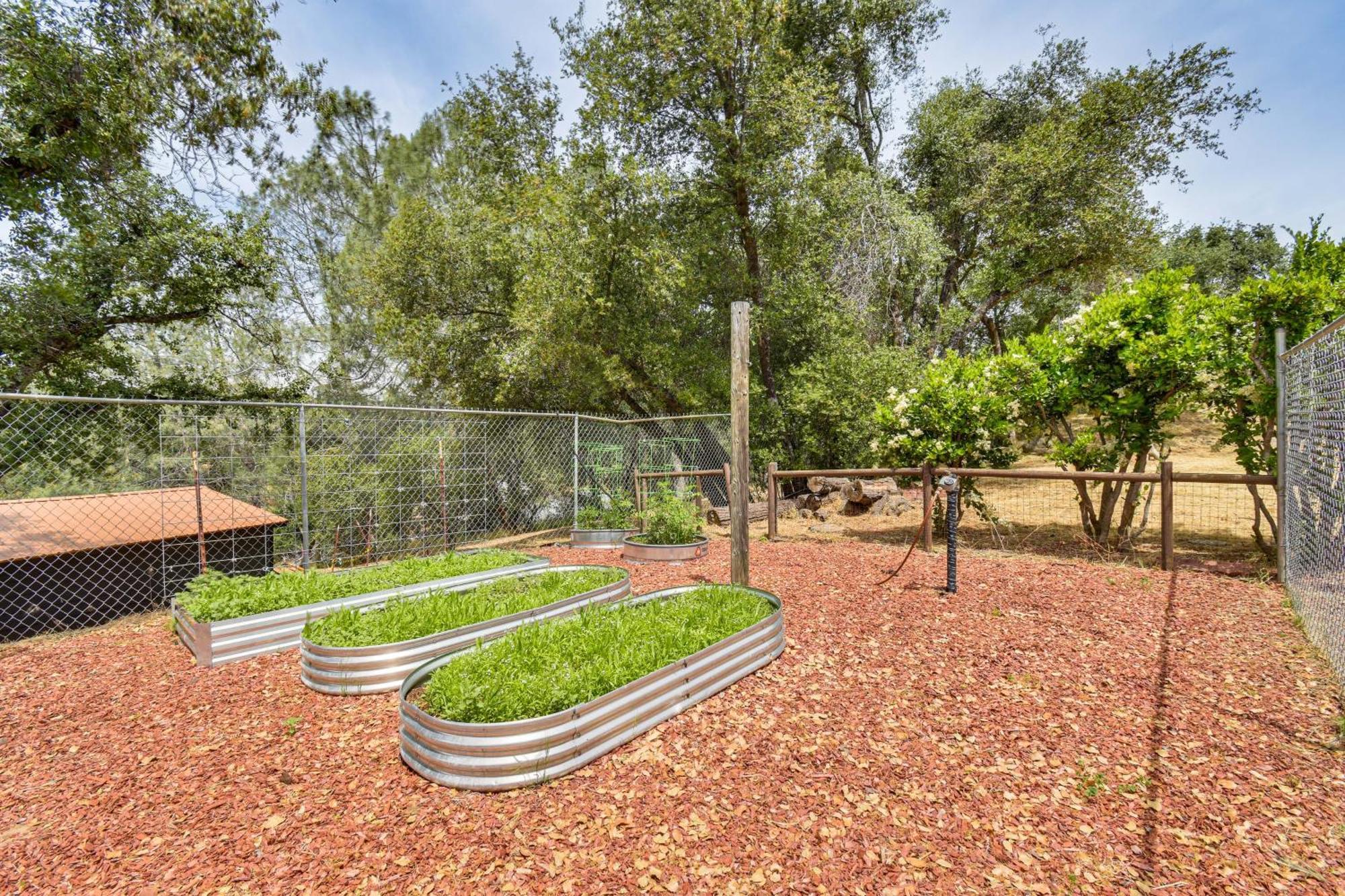 Yosemite Wellbeing Retreat On 5 Acres With Mtn Views Apartment Ahwahnee Ngoại thất bức ảnh